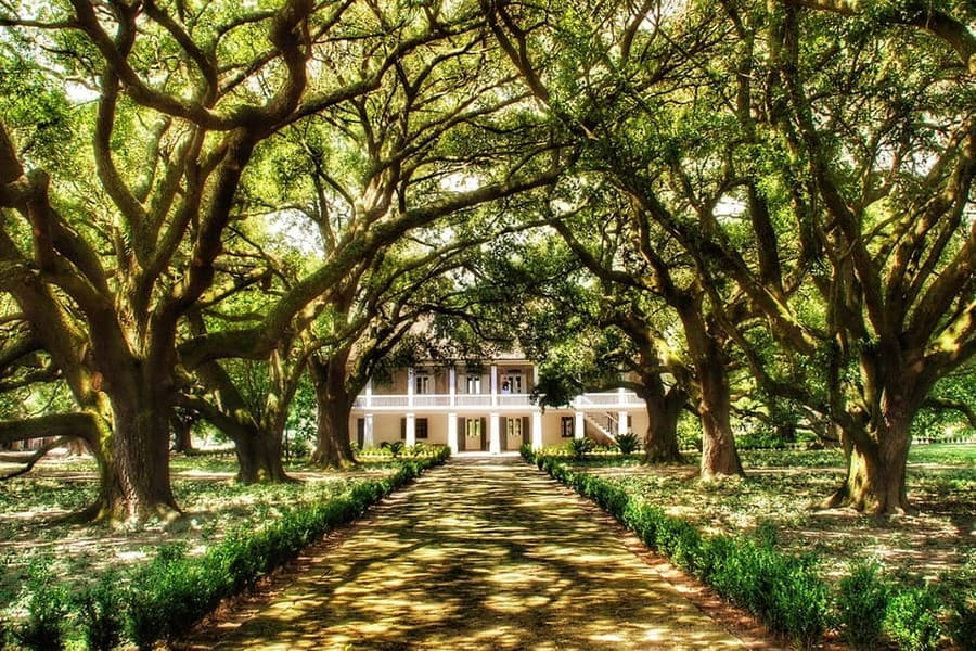 New Orleans: Whitney Plantation Tour with Transportation - Fourteen stops through Whitney Plantation