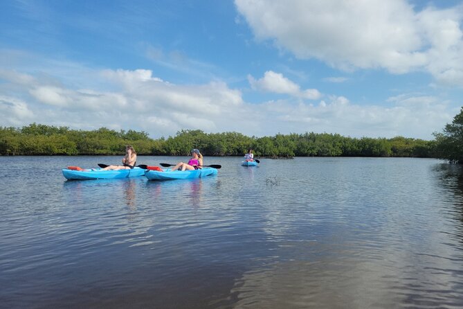 New Smyrna Dolphin and Manatee Kayak and SUP Adventure Tour - What the two-hour paddle is really like