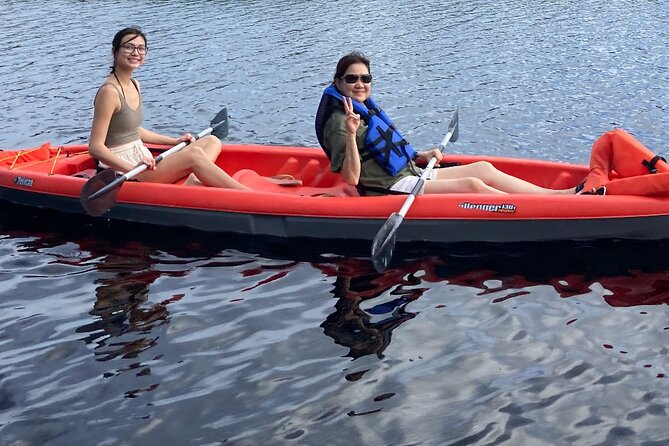 New Smyrna Dolphin and Manatee Kayak and SUP Adventure Tour - Is $65 a fair price?
