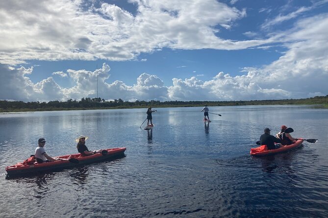 New Smyrna Dolphin and Manatee Kayak and SUP Adventure Tour - Dolphins, manatees, and the wildlife odds