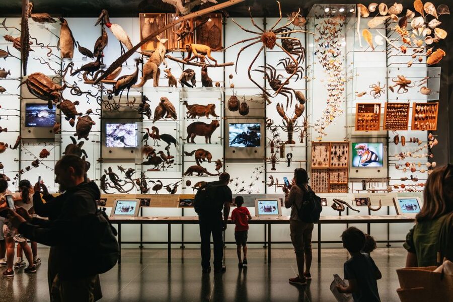 New York City: American Museum of Natural History Ticket - Start with the permanent halls