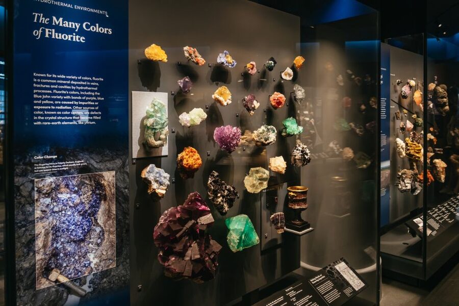 New York City: American Museum of Natural History Ticket - What makes the Gilder Center different