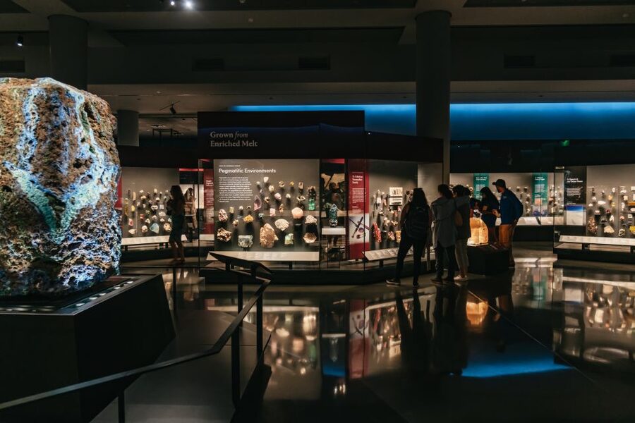 New York City: American Museum of Natural History Ticket - Ocean life, biodiversity, and the natural world