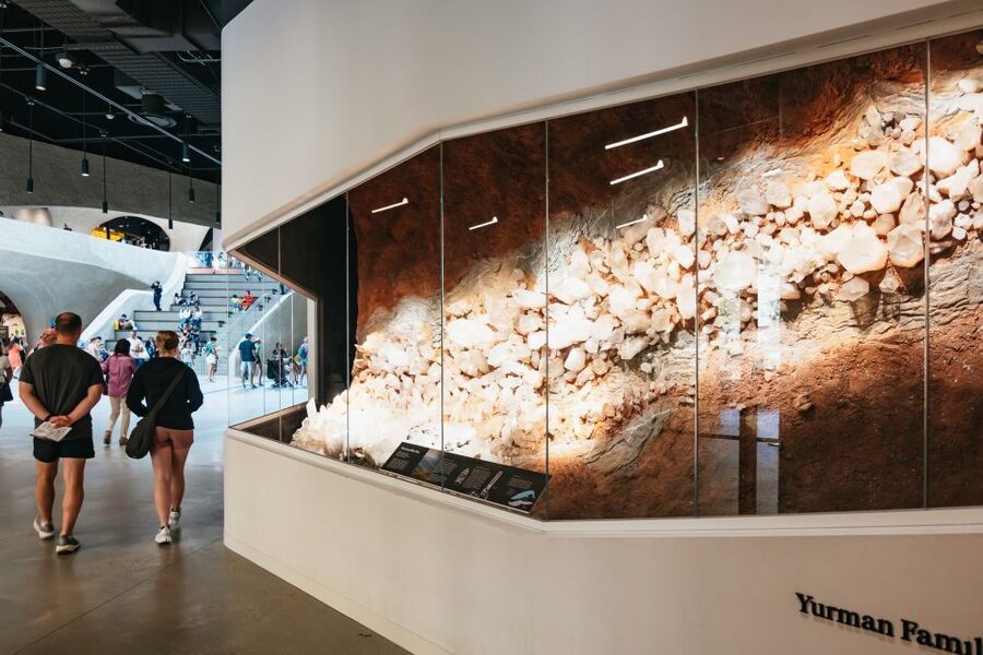 New York City: American Museum of Natural History Ticket - Timing, crowds, and practical planning