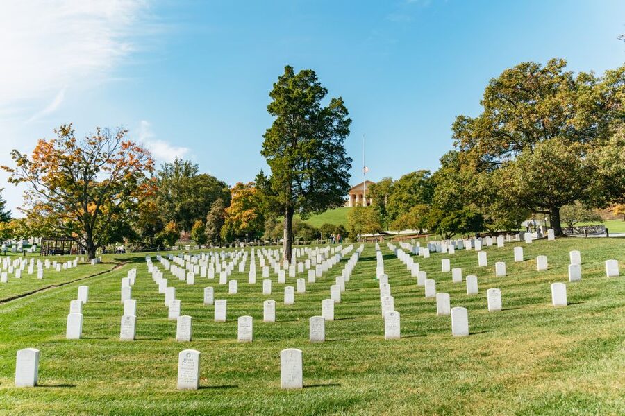 New York City: Full-Day Washington DC City Highlights Tour - Guides, languages, and group rhythm