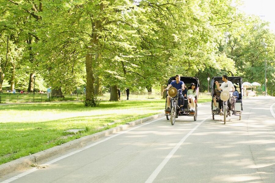 New York City: Private Central Park Pedicab Tour - Reservoir views, Belvedere Castle, and Shakespeare Garden