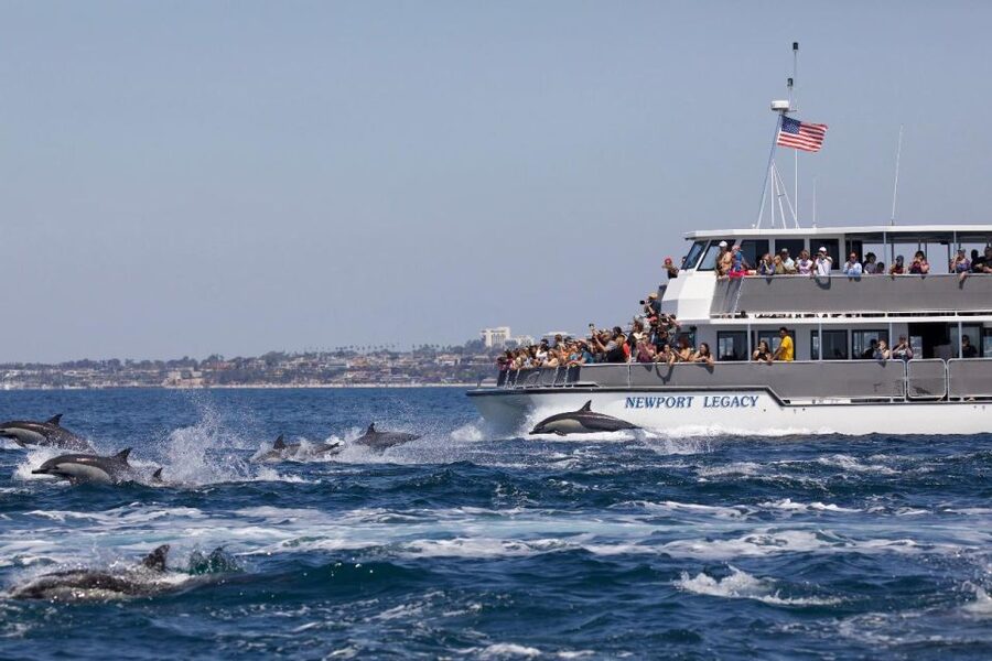 Newport Beach: Whale and Dolphin-Watching Cruise - Balboa Island and Corona del Mar set the scene