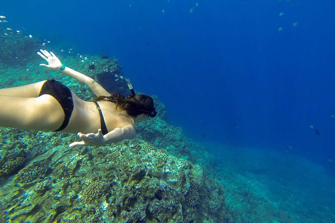 Ni'ihau and Na Pali Coast Snorkel Boat Tour - The group size, comfort, and onboard layout