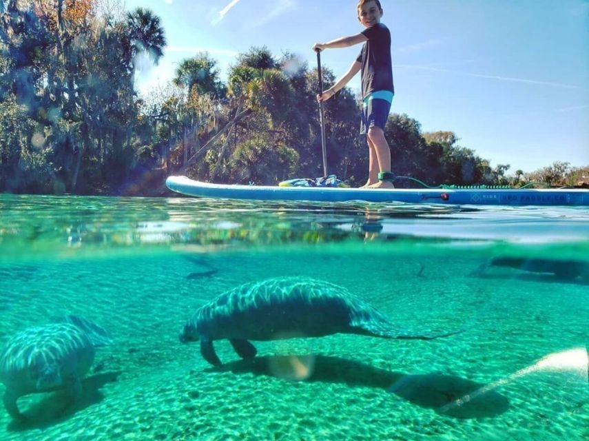 North Miami: Nature & Island Exploration on SUP/Kayak - Why this mangrove trip feels different from a typical Miami outing