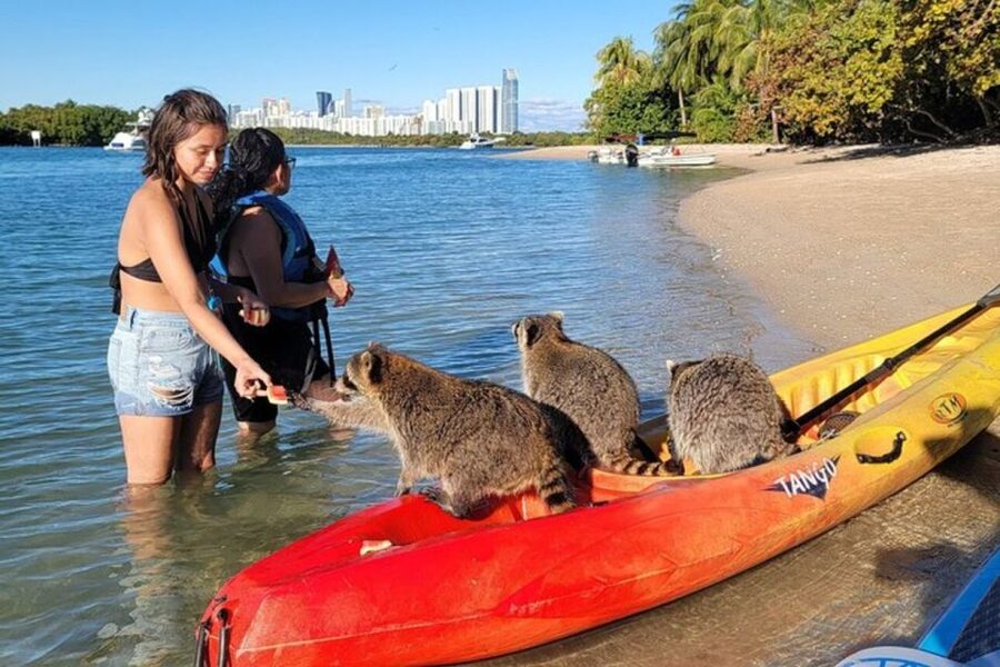 North Miami: Nature & Island Exploration on SUP/Kayak - What the guides add to the experience