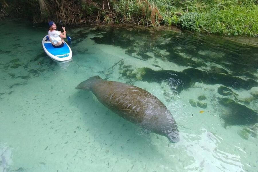 North Miami: Nature & Island Exploration on SUP/Kayak - Who should book this North Miami adventure?