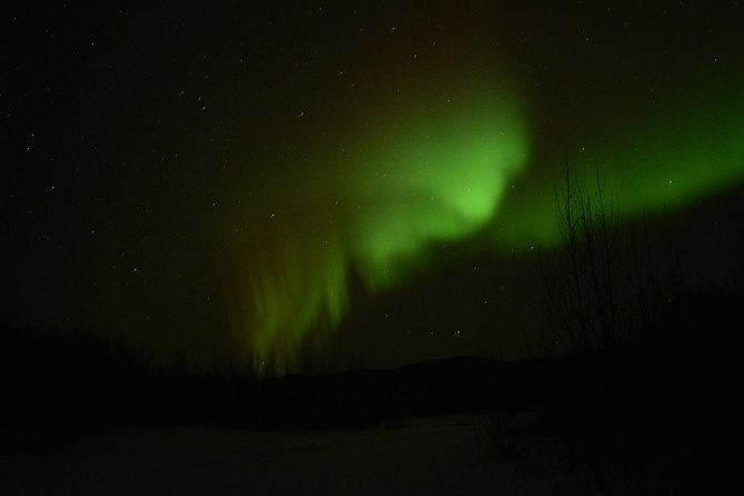 Northern Lights & Arctic Circle Tour - Why this Fairbanks tour is different