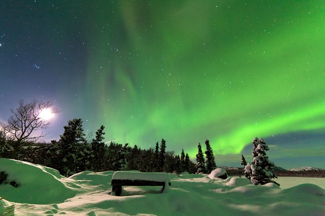 Northern Lights & Arctic Circle Tour - Pipeline views and the first taste of the Dalton Highway