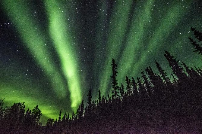Northern Lights & Arctic Circle Tour - Aurora hunting on the ride home