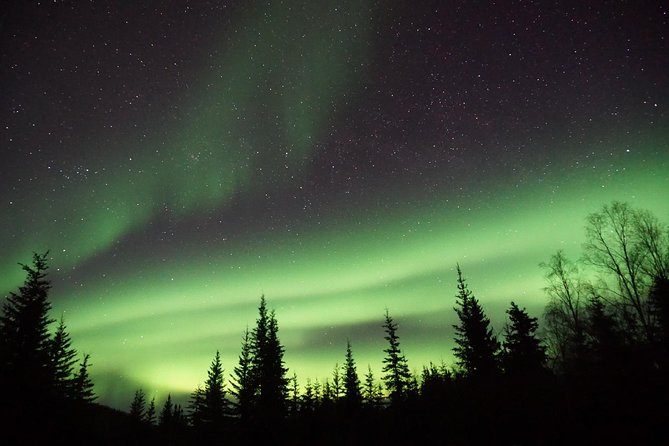 Northern Lights & Arctic Circle Tour - What the guides add to the day