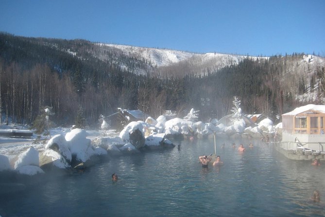 Northern Lights & Chena Hot Springs Tour - Waiting for the northern lights