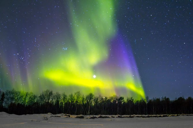 Northern Lights & Chena Hot Springs Tour - How much value do you get for $250?