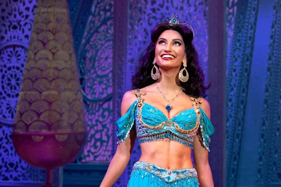 NYC: Aladdin the Musical on Broadway - Key points to know before booking