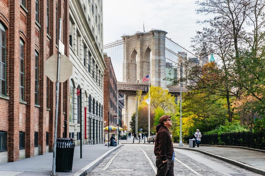 NYC: Brooklyn, Bronx, Queens Sightseeing Bus Tour - The Bronx, Yankee Stadium, and painted walls