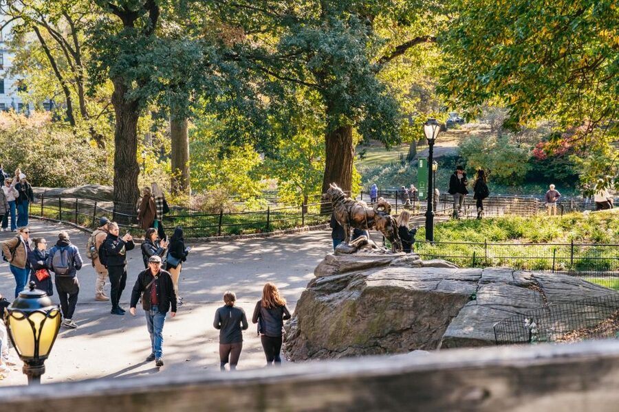 NYC: Central Park Guided Pedicab Tour - Bow Bridge, Alice, and the park’s most photogenic stretch