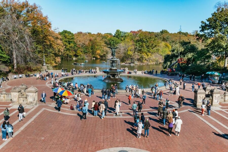 NYC: Central Park Guided Pedicab Tour - What the guides add to the experience