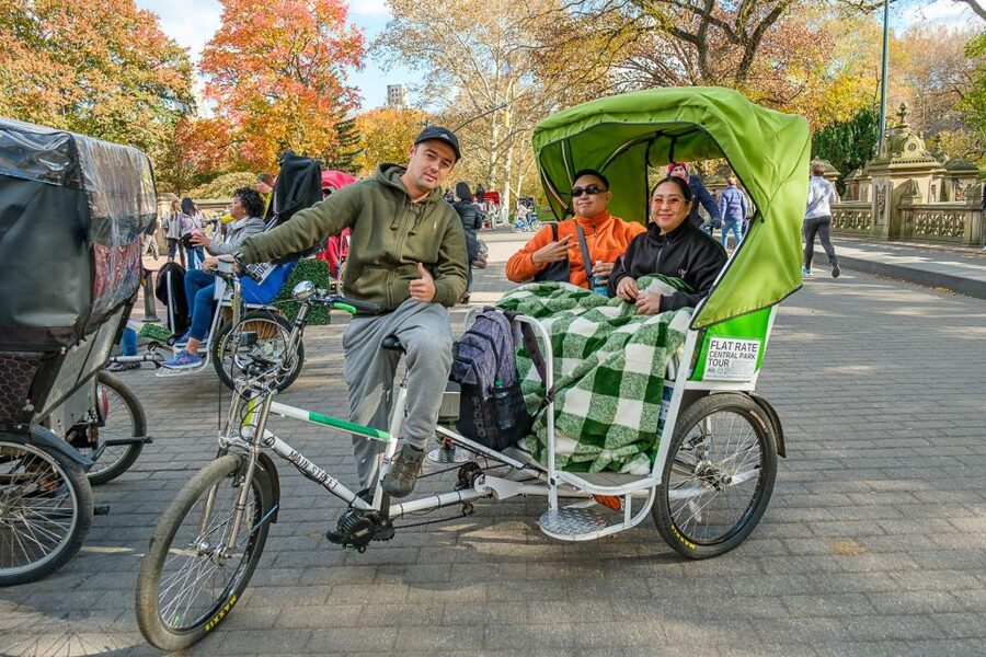 NYC: Central Park Guided Pedicab Tour - From Gapstow Bridge to Wollman Rink