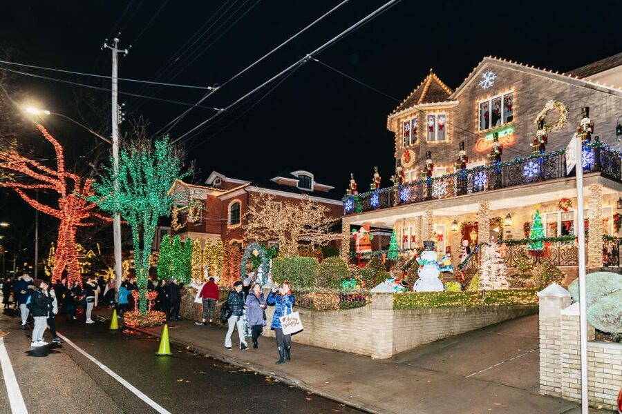 NYC: Dyker Heights Christmas Lights & Skyline View Bus Tour - Brooklyn Bridge Park and the Manhattan skyline