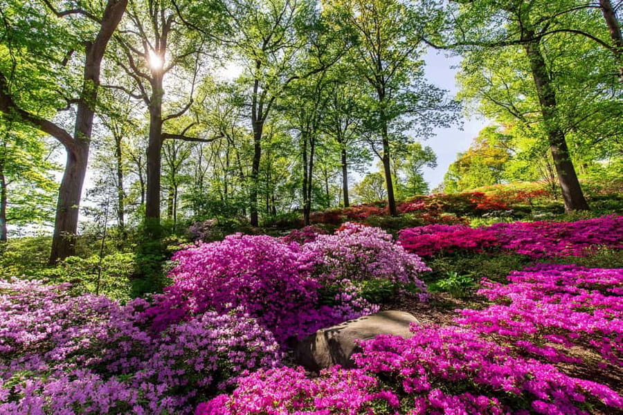 NYC: New York Botanical Garden Pass - The Haupt Conservatory and indoor garden rooms