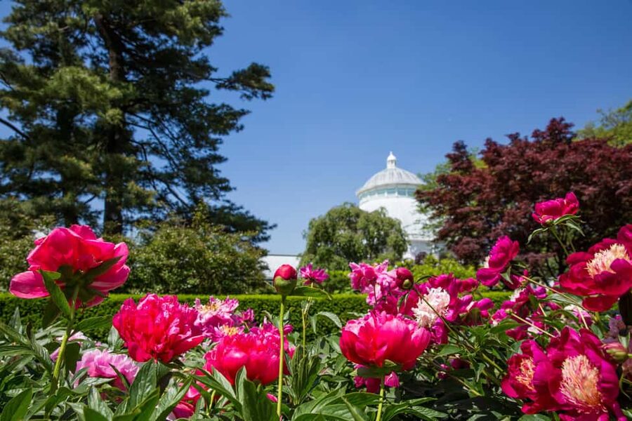 NYC: New York Botanical Garden Pass - Rose Garden, Rock Garden, and specialty collections