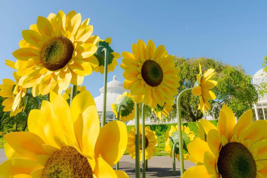 NYC: New York Botanical Garden Pass - What the $35 All-Garden Pass covers