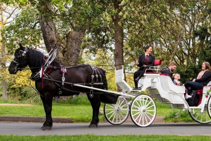 NYC: Private Central Park Horse Carriage Ride with Guide - A classic New York ride with a slower pace