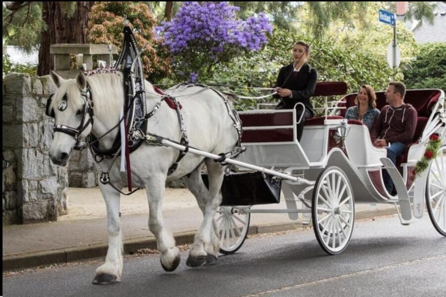 NYC: Private Central Park Horse Carriage Ride with Guide - The city route brings in Fifth Avenue lights