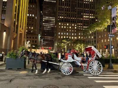 Private Central Park Horse Carriage Ride with Guide