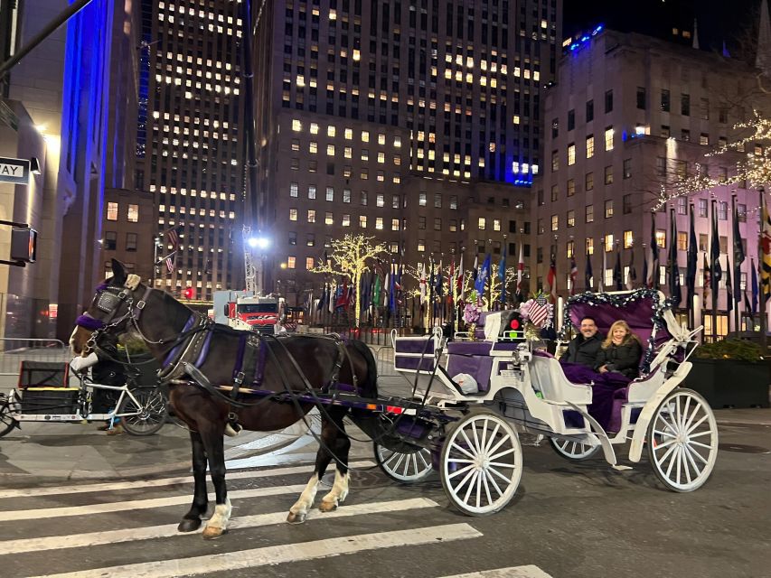 NYC: Private Central Park Horse Carriage Ride with Guide - How much time do you really get?