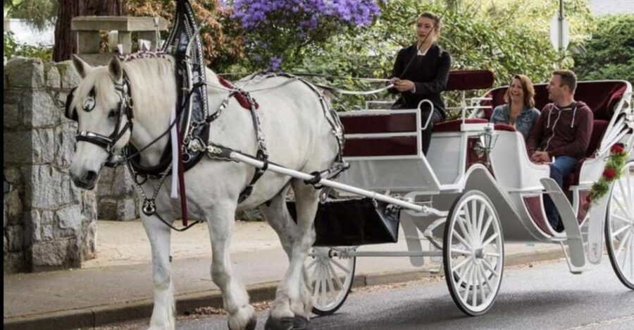 NYC: Private Central Park Horse Carriage Ride with Guide - Who will enjoy this ride most?