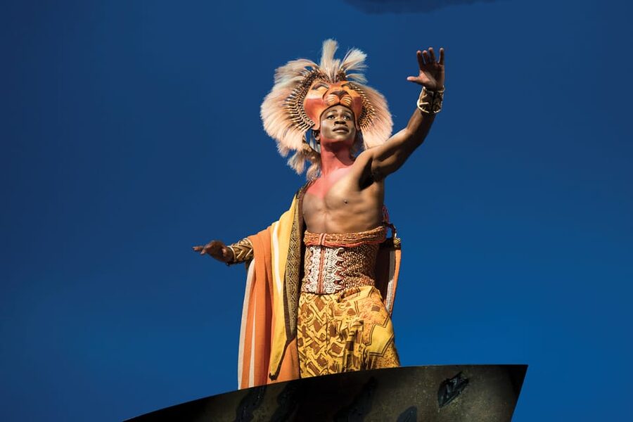 NYC: The Lion King on Broadway - Should you book this Broadway performance?
