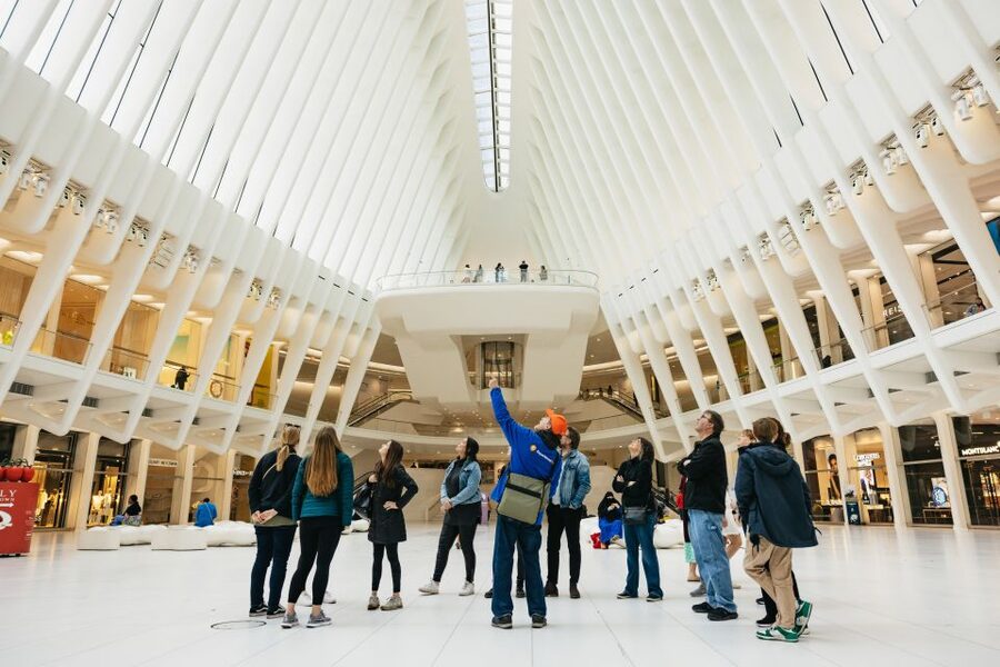 NYC: Wall Street Tour with 9/11 Memorial and Statue Ferry - The ferry to Liberty Island