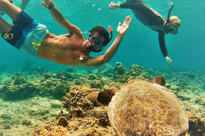 Oahu Circle Island Tour with Turtle Snorkeling— Small-Groups - An eight-hour introduction to Oahu