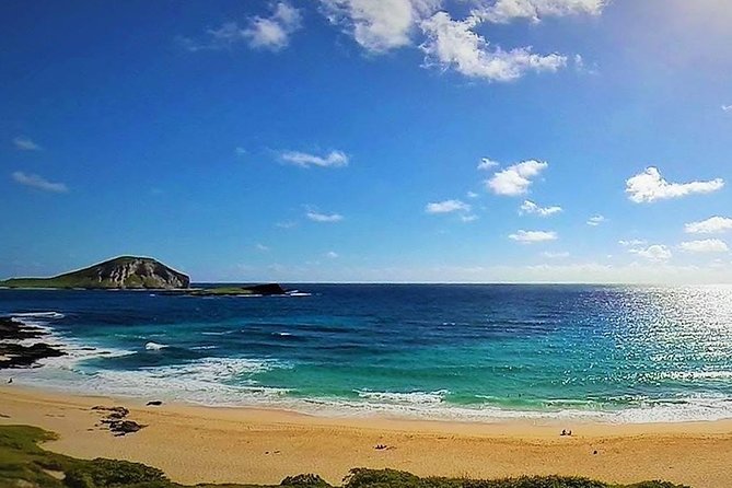 Oahu Circle Island Tour with Turtle Snorkeling— Small-Groups - North Shore lunch and local farm food