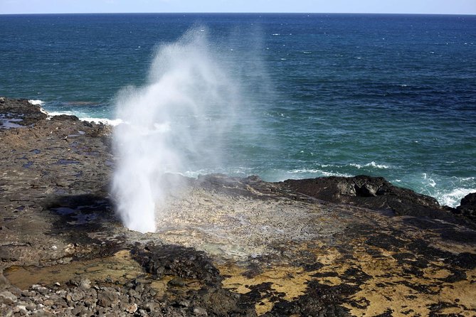 Oahu Circle Island Tour with Waimea Waterfall - Fruit, lunch, and the North Shore