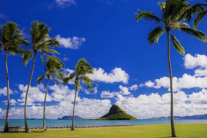 Oahu Circle Island Tour with Waimea Waterfall - What to bring and who should book