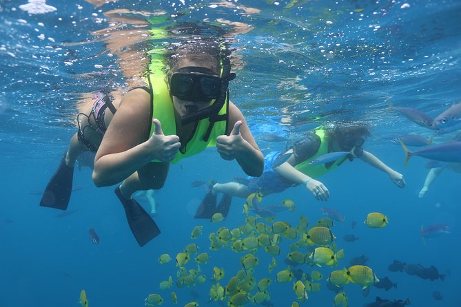 Oahu Dolphin and Snorkel Tour with Waikiki Pickup & Lunch - Why the west coast setting changes the day