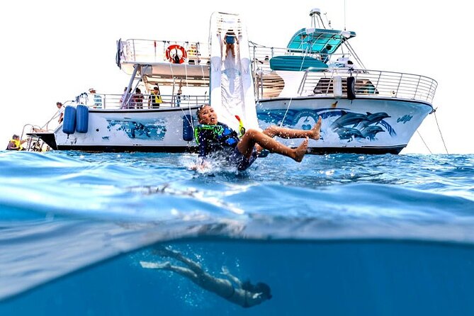 Oahu Dolphin and Snorkel Tour with Waikiki Pickup & Lunch - Snorkeling near Hawaiian green sea turtles