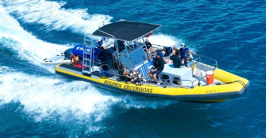 Oahu: Dolphin Swim and Turtle Snorkel Excursion in Waianae - Key points to know before booking