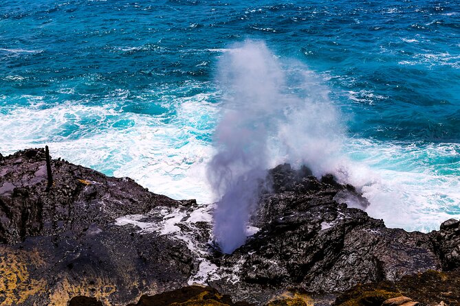 Oahu Grand Circle Island and Haleiwa Tour: 9-Hr Deluxe Experience - Macadamia nuts, coffee, and a quick farm stop