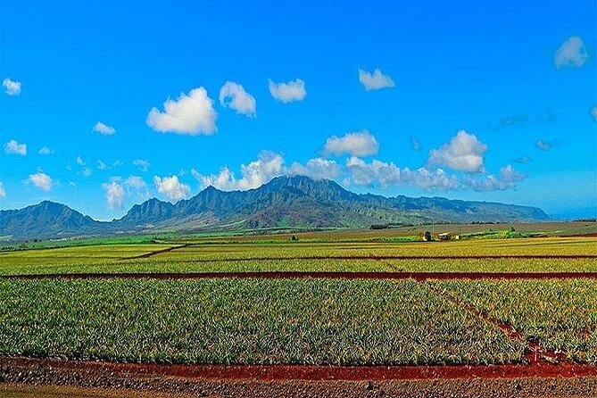 Oahu Grand Circle Island Experience from Waikiki - The North Shore surf coast