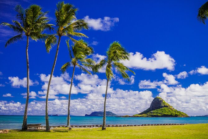 Oahu: Grand Tour Around Island 16 Locations plus Snorkeling - North Shore snorkeling and the winter question