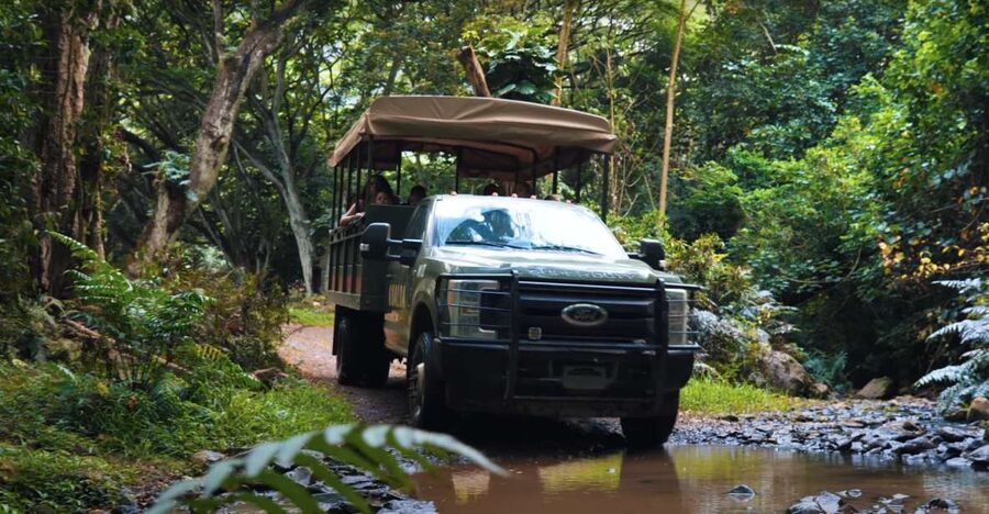 Oahu: Kualoa Open Air Jungle Expedition Tour - The short walk to the valley viewpoint