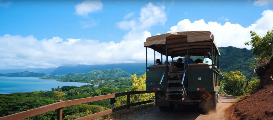 Oahu: Kualoa Open Air Jungle Expedition Tour - Who should book this Kualoa Ranch tour?