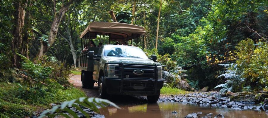 Oahu: Kualoa Open Air Jungle Expedition Tour - The rainforest route and the rough road